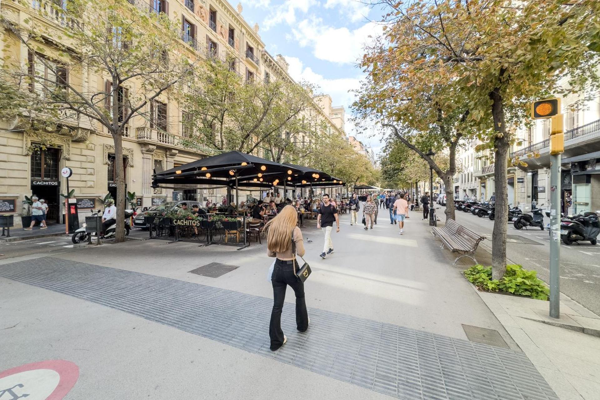 Lejlighed Precioso En Rambla Cataluna 35 Barcelona